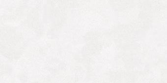 LASSELSBERGER RAKO BETONICO WHITEGREY RECT. 59,8X119,8