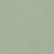 CEDIT POLICROMA LICHENE MAT 6MM RETT 764058 120x120