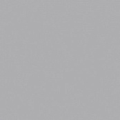 PARADYZ GAMMA SZARA M 19.8X19.8