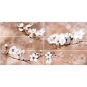 AZULEJOS ESPANOL BEAUTY ALMOND 75x150