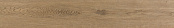 ATRIUM EVOQUE TAUPE 20x120x0,9