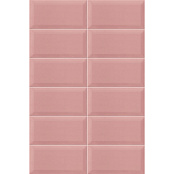 MAINZU PLUS BISSEL PINK 10x20