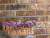 RONDINE LONDON BROWN BRICK 13X25 RONDINE LONDON BROWN BRICK 13X25
