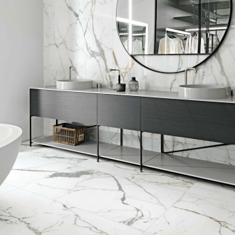 REX LES ORIGINES DE REX