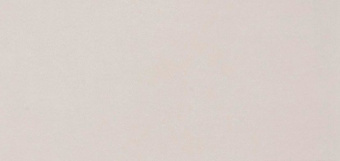 LASSELSBERGER RAKO TREND LIGHT GREY, СВ  29,8X59,8