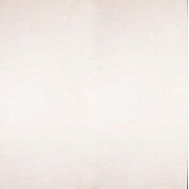 LA PLATERA ORNAMENTA CONTINENTAL 45Х45