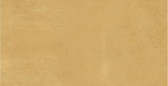 ATLAS CONCORDE BOOST PRO MUSTARD 8B8M 40X80
