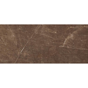 RAVIRAJ ARMANI COFFE 60x120x1