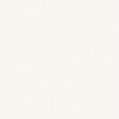 PARADYZ GAMMA BIALA M 19.8X19.8