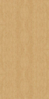 CERDISA EC1/22 / ECC RAY STRUCTURED RETT 60X120