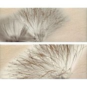 APE GLOBE BASE MIEL ПАННО 20x50