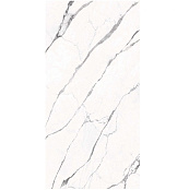 CASALGRANDE PADANA MARMOKER STATUARIO FINE HONED 120X120X1