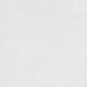 LASSELSBERGER RAKO EXTRA DAR63722 WHITE 59,8X59,8