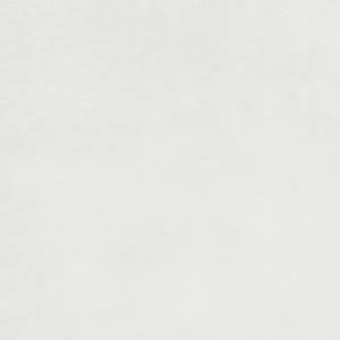 LASSELSBERGER RAKO EXTRA DAR63722 WHITE 59,8X59,8