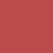 PARADYZ INWESTA GAMMA CZERWONA SCIANA MAT. 19,8X19,8