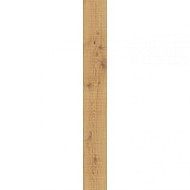 ATLAS CONCORDE EXENCE ALMOND SAW CUT AOUL 18,5X150X0,95