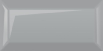 GOLDEN TILE METROTILES GRAY 10X20X0,7