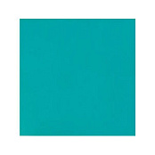 PAMESA ARCOIRIS TURQUESA 31.6x31.6