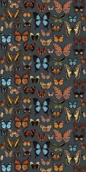 ABK WIDESTYLE PAPILLON DIGIT+ 3714 160X320
