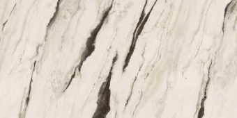 GARDENIA ORCHIDEA MAXIMVS PANDA WHITE LUX R 60X120