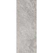 PORCELANOSA IMAGE G369 SILVER 59.6X120