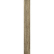 PARADYZ ALMONTE BROWN 14,8x119,8