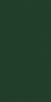 CERIM CRAYONS MOSS 767268 60X120X0,6