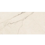 LA FAENZA CERAMICA TREX3 TREX 12W LP 60X120