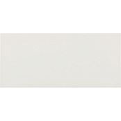 PAMESA CERAMICA AKTUELL DAMM BLANCO 20x45.2