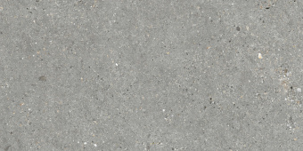GRESPANIA MITICA GRIS 60X120