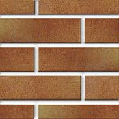 PARADYZ KLINKIER AQUARIUS BROWN PLYTKI ELEWACYJNE 6.5x24.5