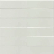 MAINZU JUNGLE SKY 10X30