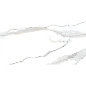 RAVIRAJ EMPRESS GREY MATT 60x120x1