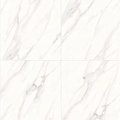 MEGAGRES W6P600B 60X60