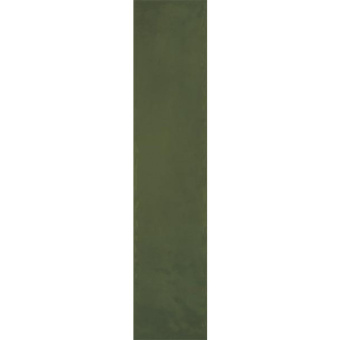 PARADYZ MONPELLI OLIVE CEGIELKA STR POLYSK 6,5X29,8
