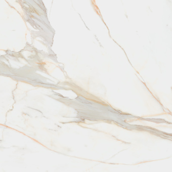 PAMESA CALACATA GOLD LEVIGLASS 120x120