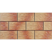 CERRAD KLINKER CER 3 JESIENNY LISC 14.8X30