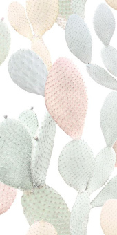 41ZERO42 PAPER41 PRO MARCELA 50X100