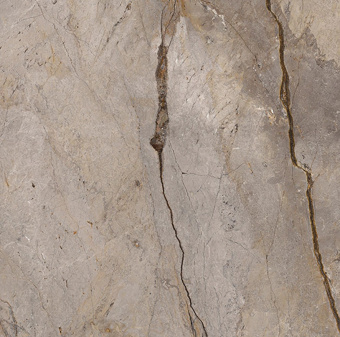 APAVISA WILD FOREST GREY NATURAL MIX 119,3x119,3