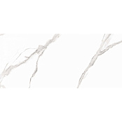 RAVIRAJ ARONA SATUARIO 60x120x1