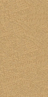 CERDISA EC1/22 / ECC MAP RAY LUCIDO RETT 60X120