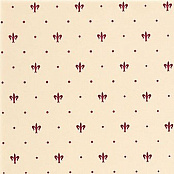 APE LORD KNIGHT BURDEOS  20x20