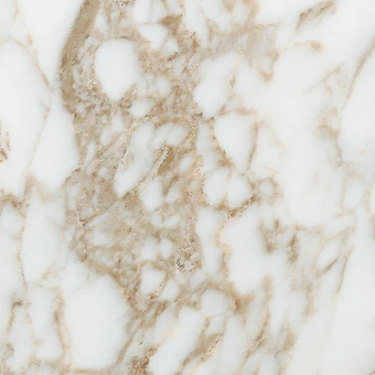 PAMESA ARABESCATO GOLD 120X120