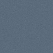 CERDISA EC1/22 / ECC BATH NATURAL RETT 60X60