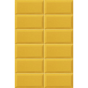 MAINZU PLUS BISSEL TIGER 10x20