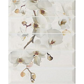 EQUIPE METRO PARADISE BLANCO 37.5X30