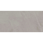 ECOCERAMIC SLABS GRIS 75Х150 - LP0350