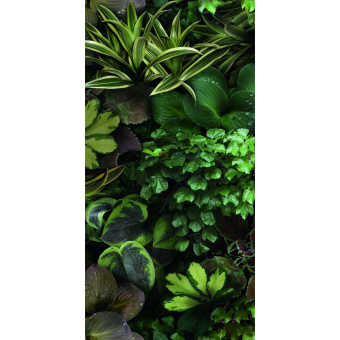 41ZERO42 PAPER41 PRO JANE C 4100153 50X100X0,35