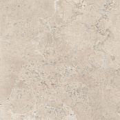 GARDENIA ORCHIDEA PIETRA VIVA BEIGE NAT RET 120X120