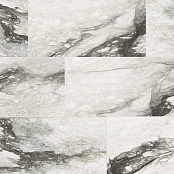 REX ETOILE RENOIR 60X120